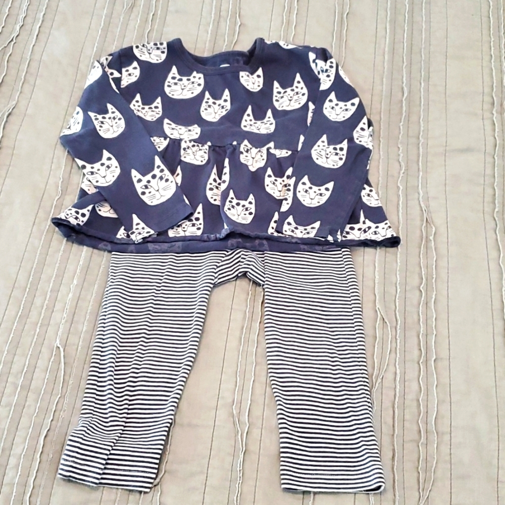 Tea Collection toddler girl matching set